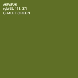 #5F6F25 - Chalet Green Color Image